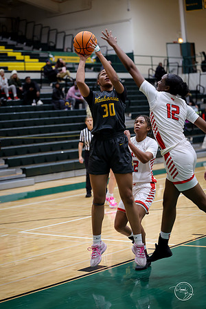 20251206 Homewood-Flossmore-84