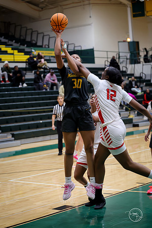20251206 Homewood-Flossmore-85