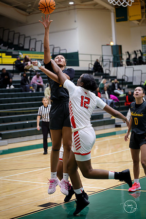 20251206 Homewood-Flossmore-86