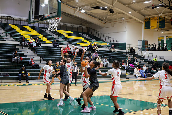 20251206 Homewood-Flossmore-88