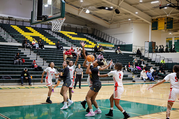 20251206 Homewood-Flossmore-89