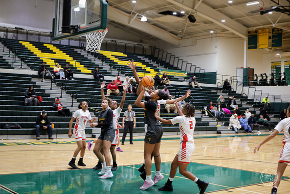 20251206 Homewood-Flossmore-90