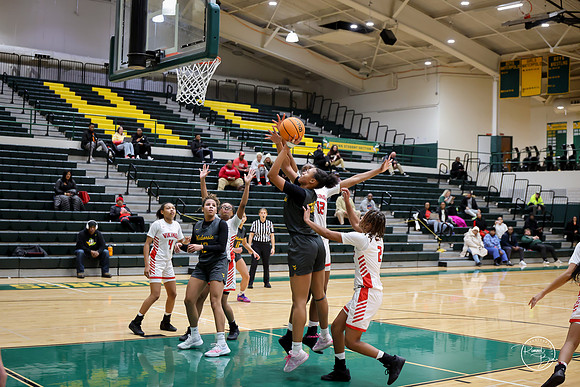 20251206 Homewood-Flossmore-91