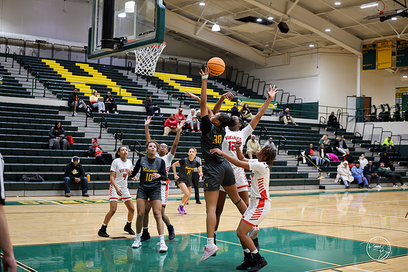 20251206 Homewood-Flossmore-93