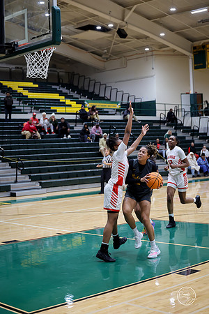 20251206 Homewood-Flossmore-95
