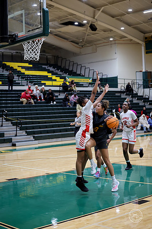 20251206 Homewood-Flossmore-96