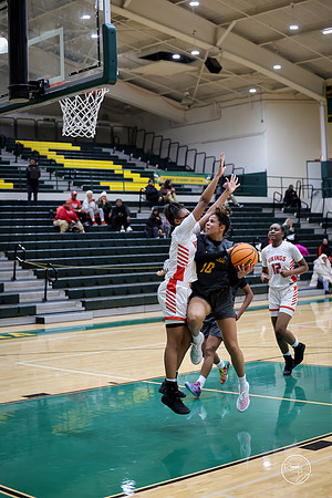 20251206 Homewood-Flossmore-97