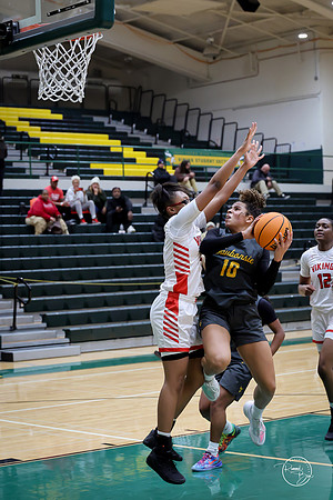 20251206 Homewood-Flossmore-98