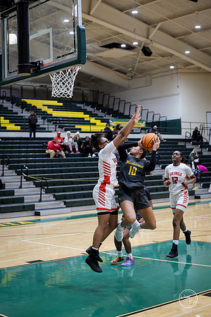 20251206 Homewood-Flossmore-99