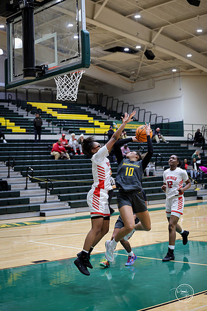 20251206 Homewood-Flossmore-100