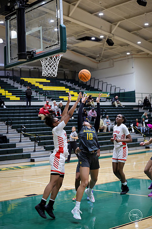 20251206 Homewood-Flossmore-102