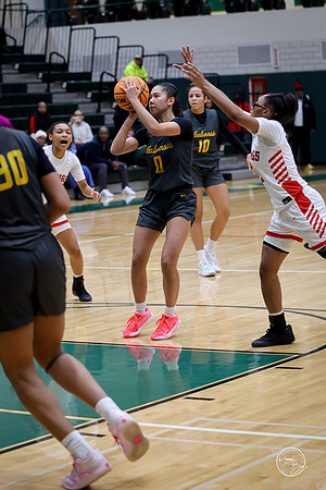 20251206 Homewood-Flossmore-103