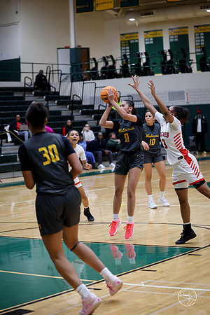 20251206 Homewood-Flossmore-104