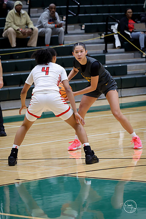 20251206 Homewood-Flossmore-105