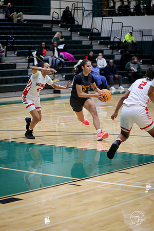 20251206 Homewood-Flossmore-106