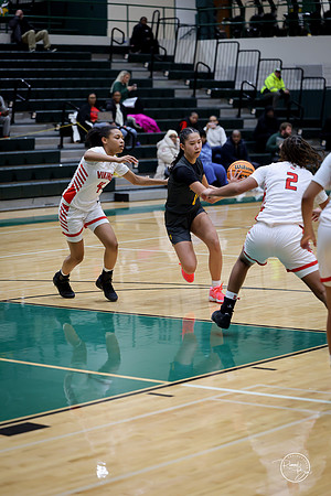 20251206 Homewood-Flossmore-107
