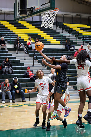 20251206 Homewood-Flossmore-110