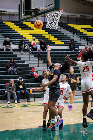 20251206 Homewood-Flossmore-111