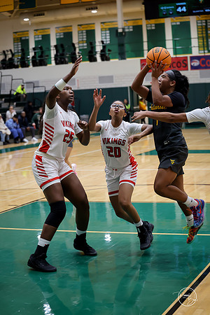 20251206 Homewood-Flossmore-112
