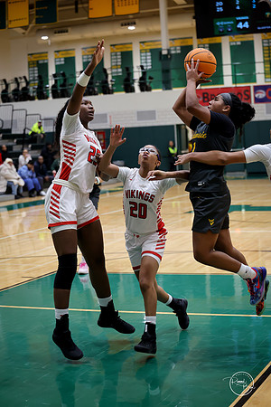 20251206 Homewood-Flossmore-113