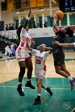 20251206 Homewood-Flossmore-114