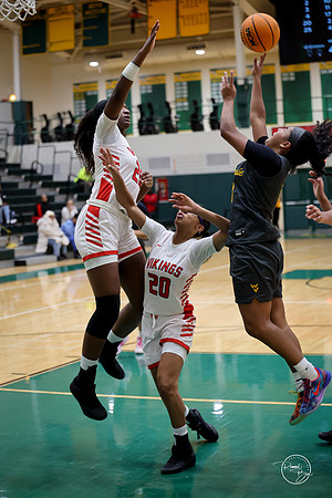 20251206 Homewood-Flossmore-115