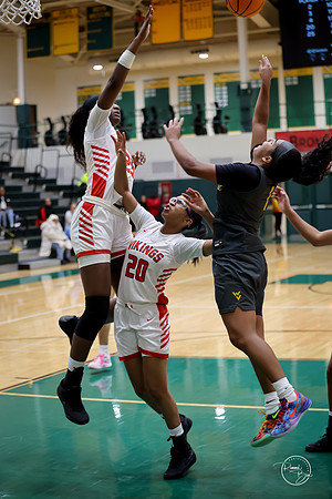 20251206 Homewood-Flossmore-116