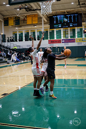 20251206 Homewood-Flossmore-118