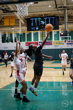 20251206 Homewood-Flossmore-120
