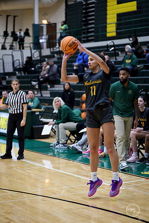20251206 Homewood-Flossmore-121