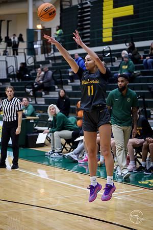 20251206 Homewood-Flossmore-122