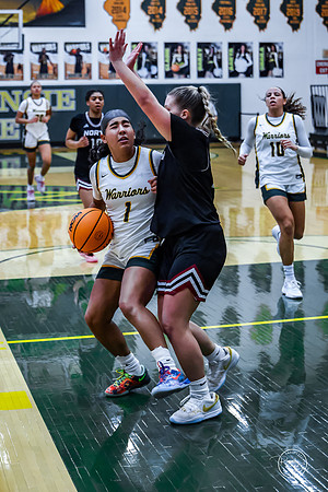 20260103  Plainfield North-56