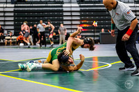 20260110 WV Mega Dual-4