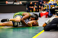 20260110 WV Mega Dual-18