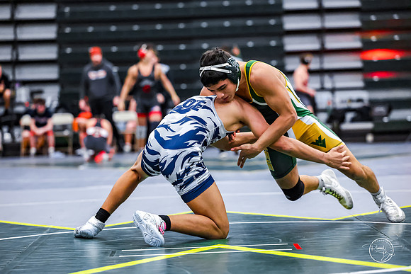 20260110 WV Mega Dual-24