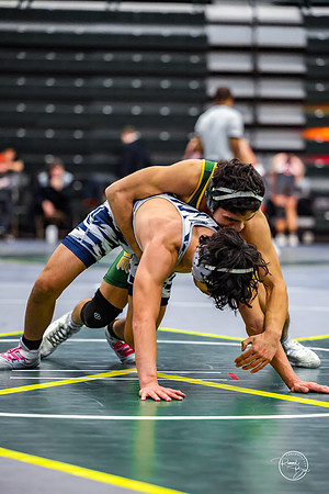 20260110 WV Mega Dual-35