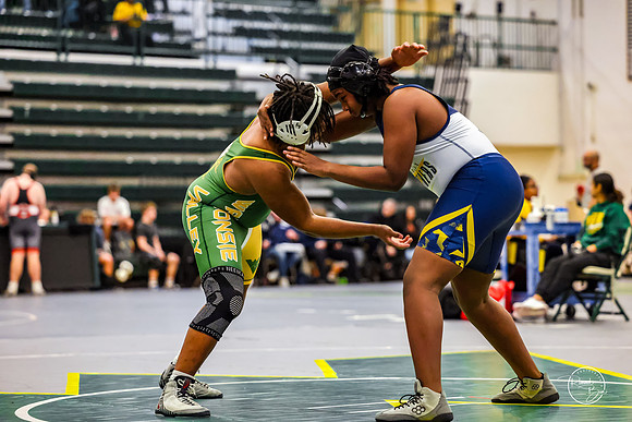 20260110 WV Mega Dual-74