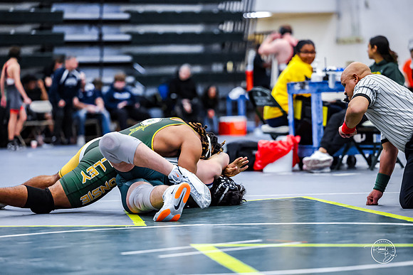 20260110 WV Mega Dual-84
