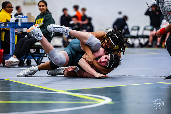 20260110 WV Mega Dual-88