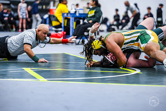 20260110 WV Mega Dual-96