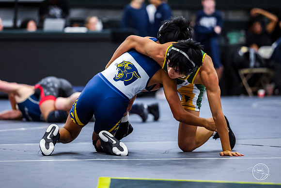 20260110 WV Mega Dual-100