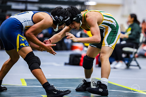 20260110 WV Mega Dual-110