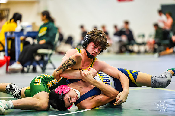 20260110 WV Mega Dual-118