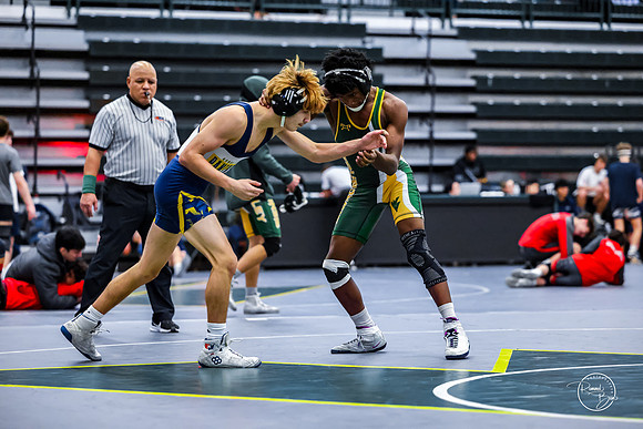 20260110 WV Mega Dual-128