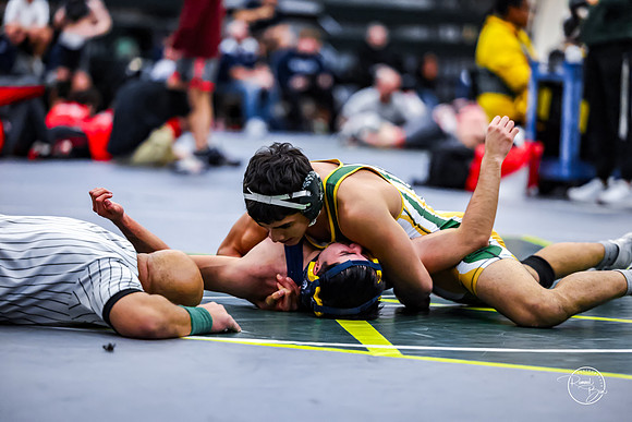 20260110 WV Mega Dual-140