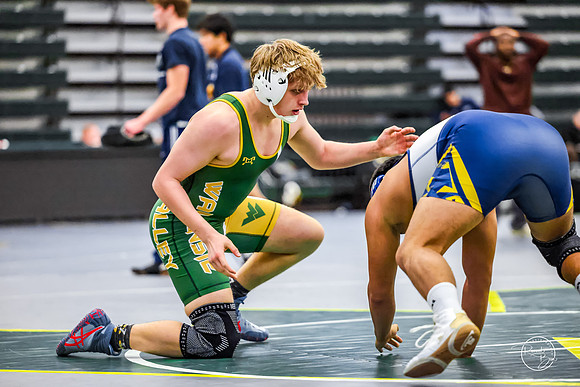 20260110 WV Mega Dual-175