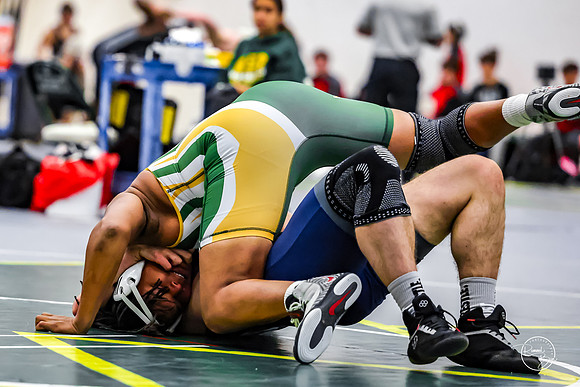 20260110 WV Mega Dual-190
