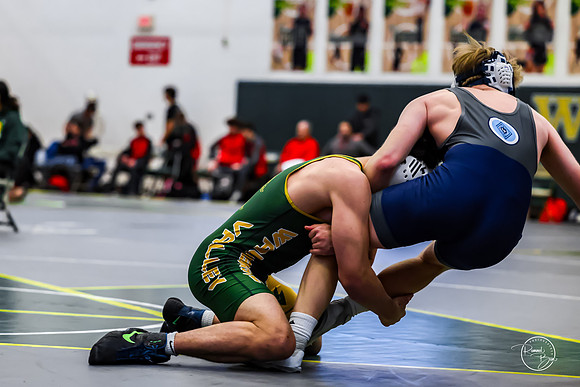 20260110 WV Mega Dual-219