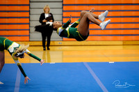 2024 DVC Varsity Cheer Championship Waubonsie Valley-19
