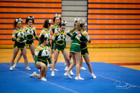 2024 DVC Varsity Cheer Championship Waubonsie Valley-15